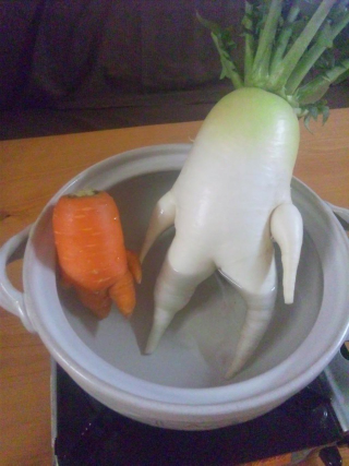 Illustration for article titled How a Japanese Radish Became an Internet Hero